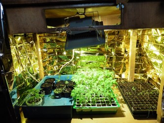 Bild "Selbstversorgung:Anzuchthaus.jpg"