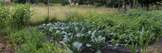 Bild "bilder-garten:Gartenansicht.jpg"
