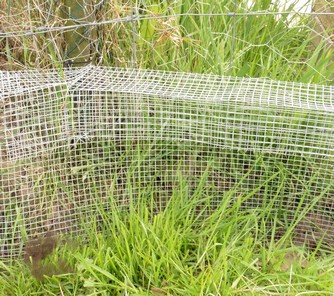 Bild "bilder-garten:Schneckenzaun.jpg"