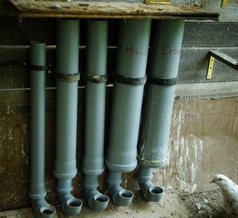 Bild "bilder-gefluegel:Futterautomat.jpg"