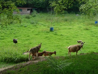 Bild "bilder-grundstueck:Grundstueck6.jpg"