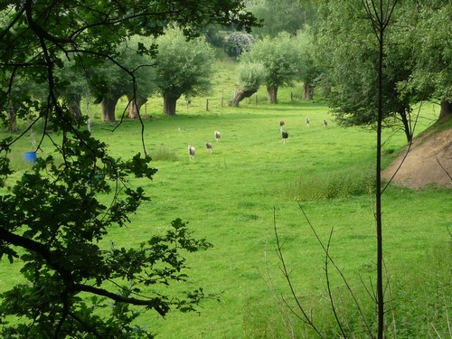 Bild "bilder-grundstueck:Grundstueck8.jpg"