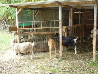 Bild "bilder-grundstueck:neuerstallheu.jpg"