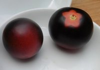 Bild "bilder-tomaten:Helsing.jpg"