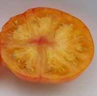 Bild "bilder-tomaten:Oaxacan_Jewel_innen.jpg"