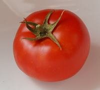 Bild "bilder-tomaten:Ruthje.jpg"