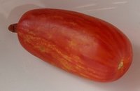 Bild "bilder-tomaten:Striped_Roman.jpg"